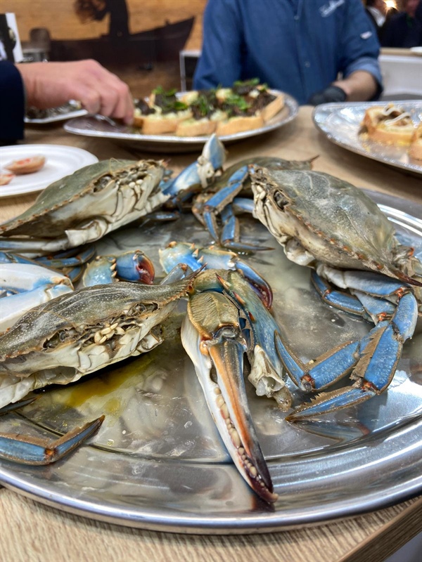 Presentato il progetto BLUECRAB alla Fiera dell’Alto Adriatico a Caorle.