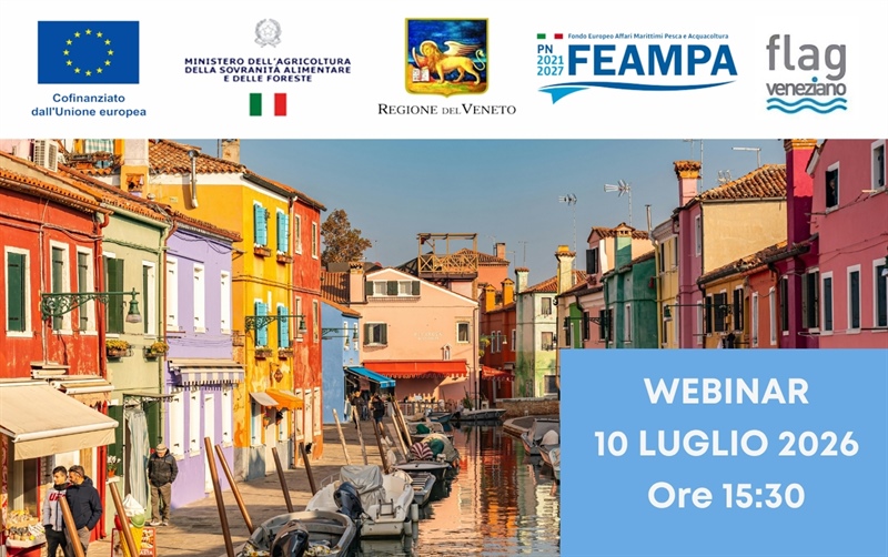 INCONTRO ONLINE SU BANDI FEAMPA